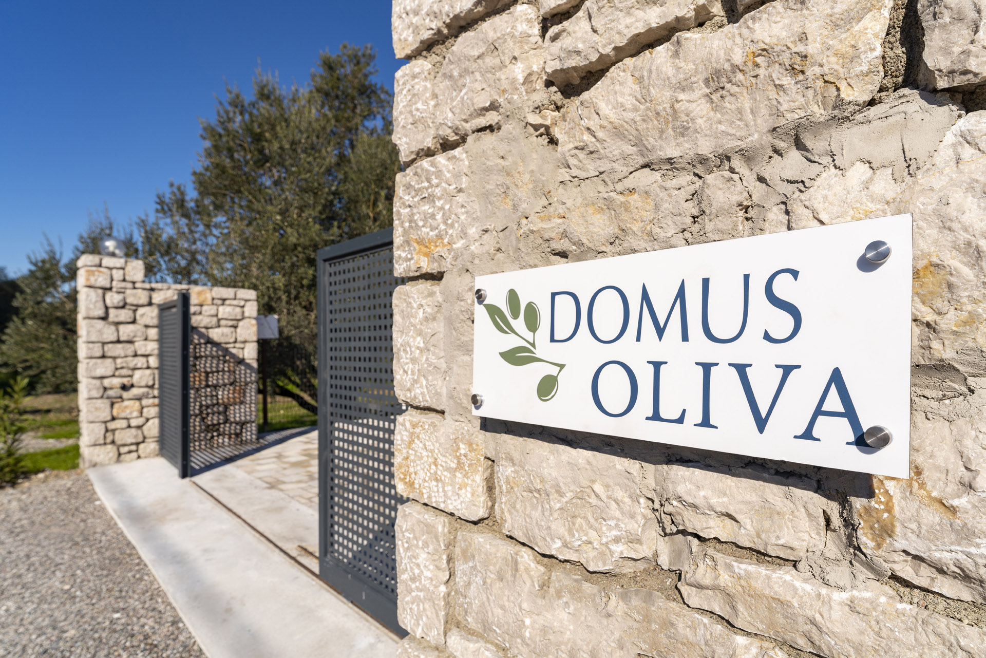 Domus Oliva 42